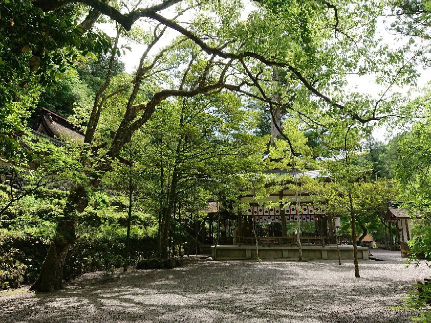 Niukawakami Shrine景点图片