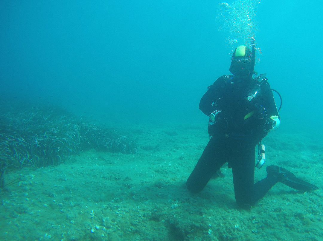 Ileia Dive Center-Pyrgos必去景点