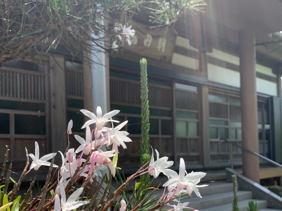 Saiko-ji Temple-浮羽市必去景点