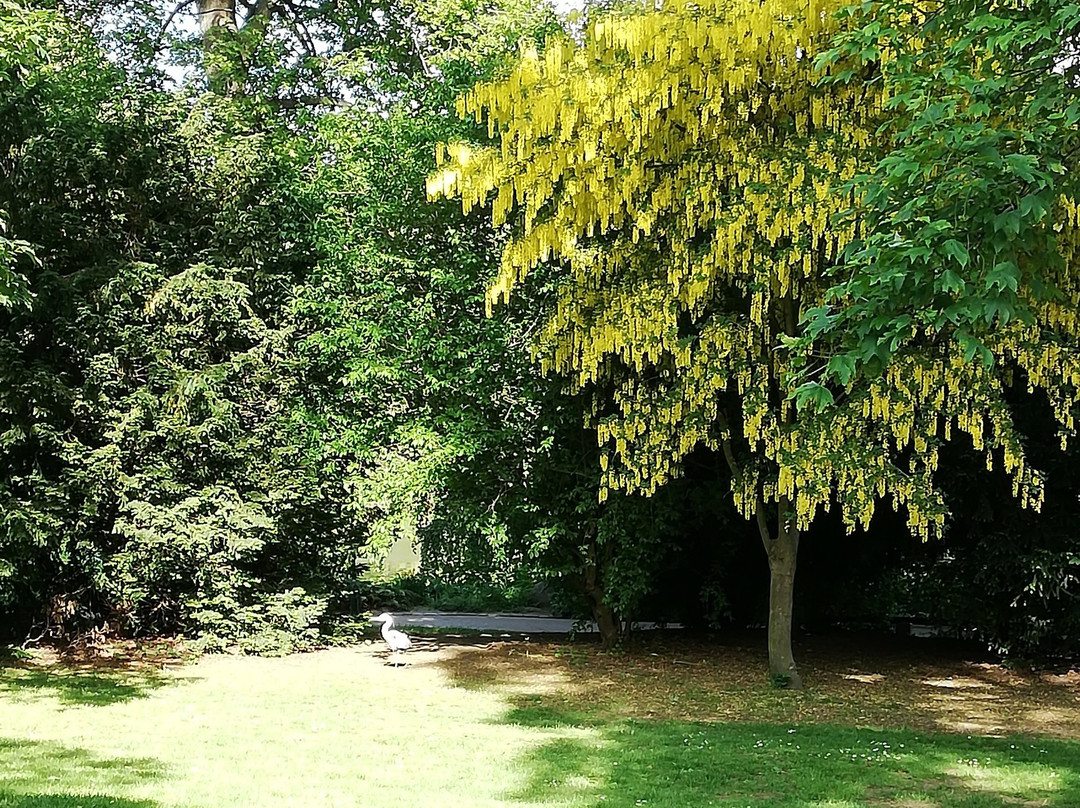 Oerstedsparken-哥本哈根必去景点