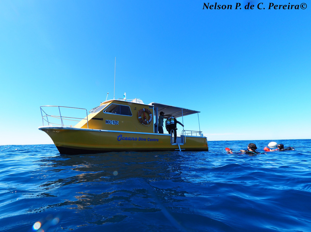 Oceano Dive Center景点图片