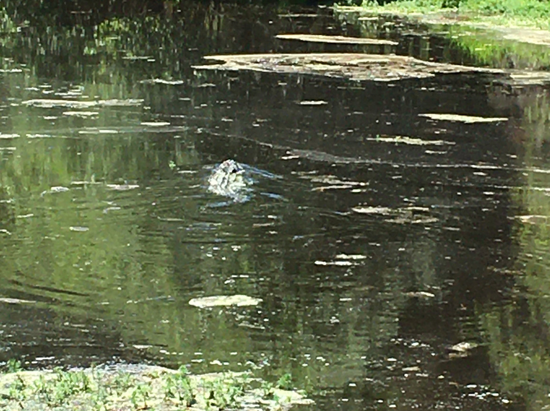 Magnolia Springs Park-Millen必去景点