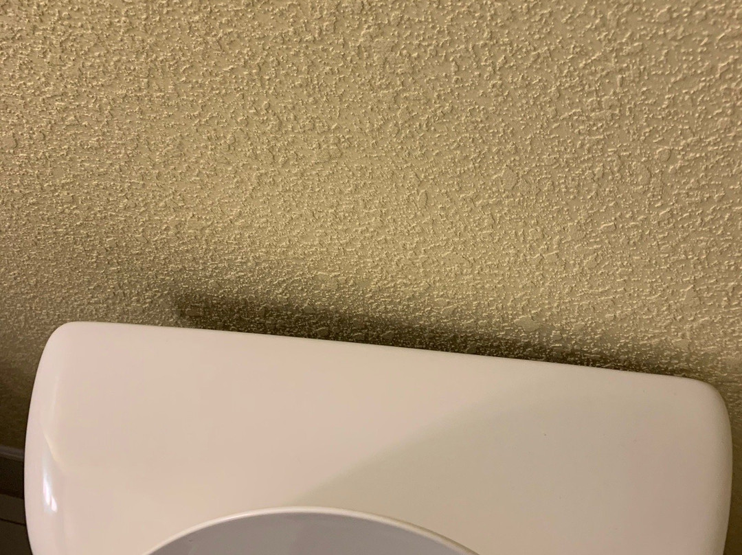 Hilton Garden Inn Dalton主图