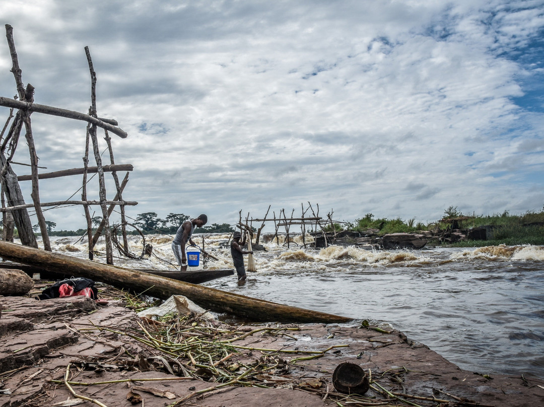 Congo Local Guides景点图片