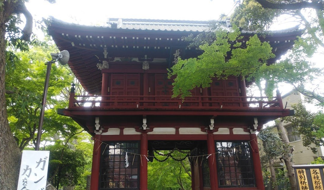 Hondo-ji Temple-松户市必去景点