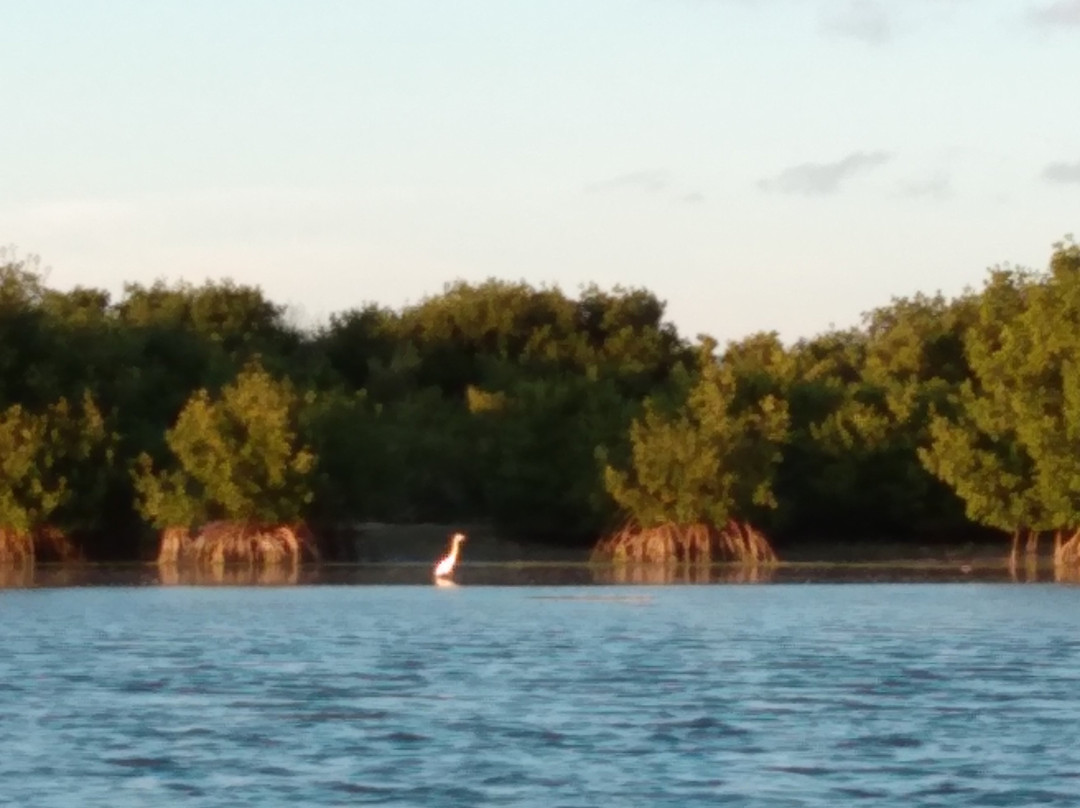 Mariner's Club Key Largo主图