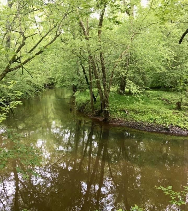 Medoc Mountain State Park景点图片