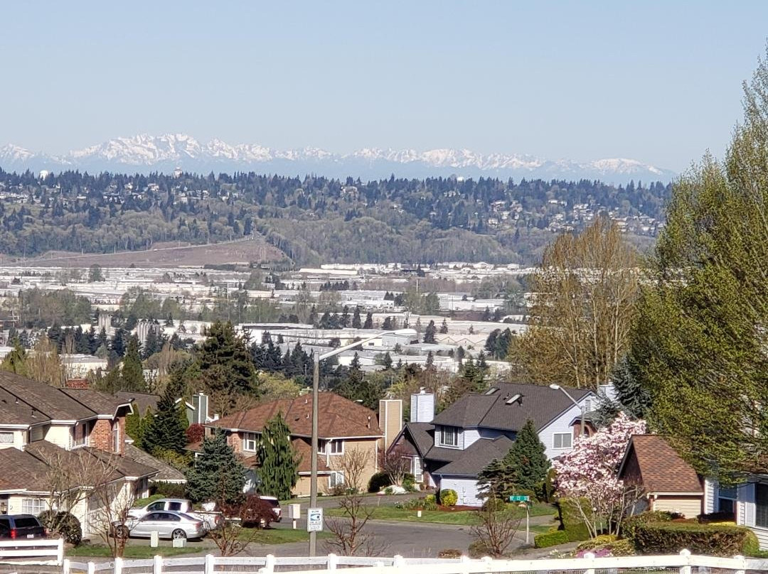 Chestnut Ridge Park-肯特必去景点