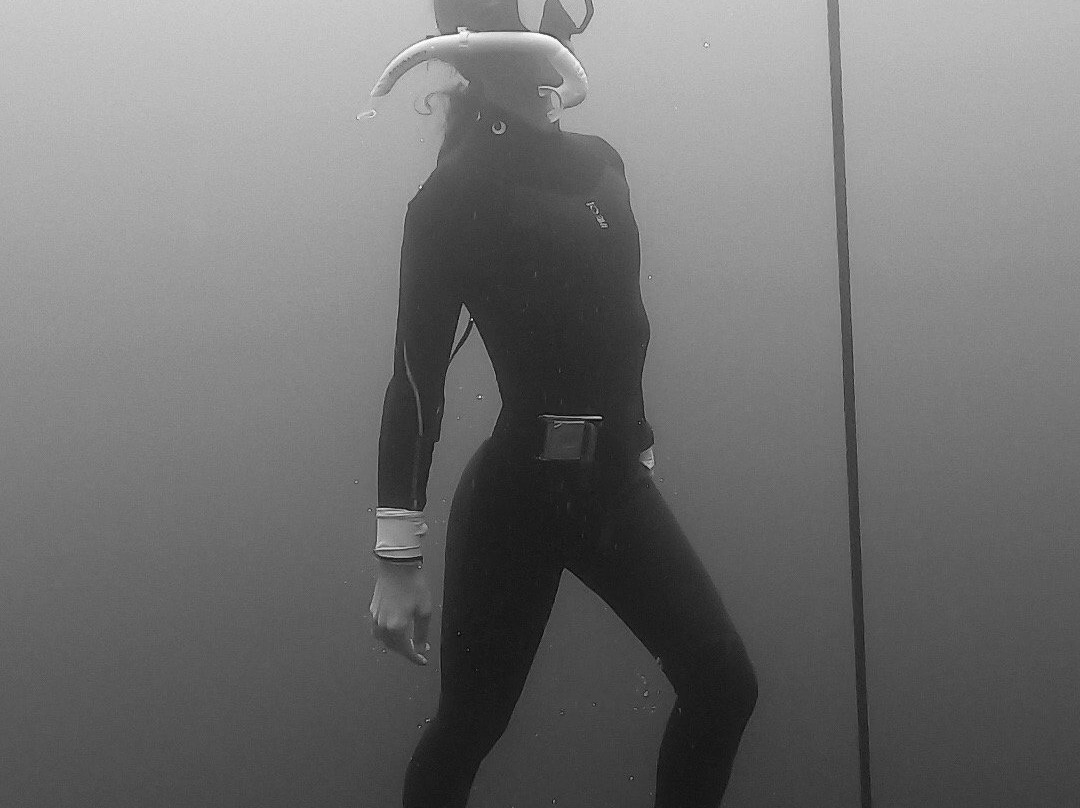 Panama Freediving-Isla de Coiba必去景点