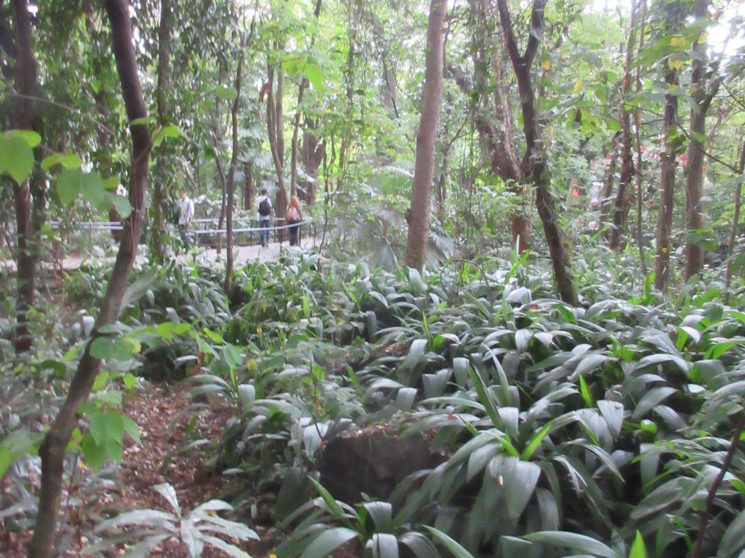 Jardín Botánico de Medellín-麦德林必去景点