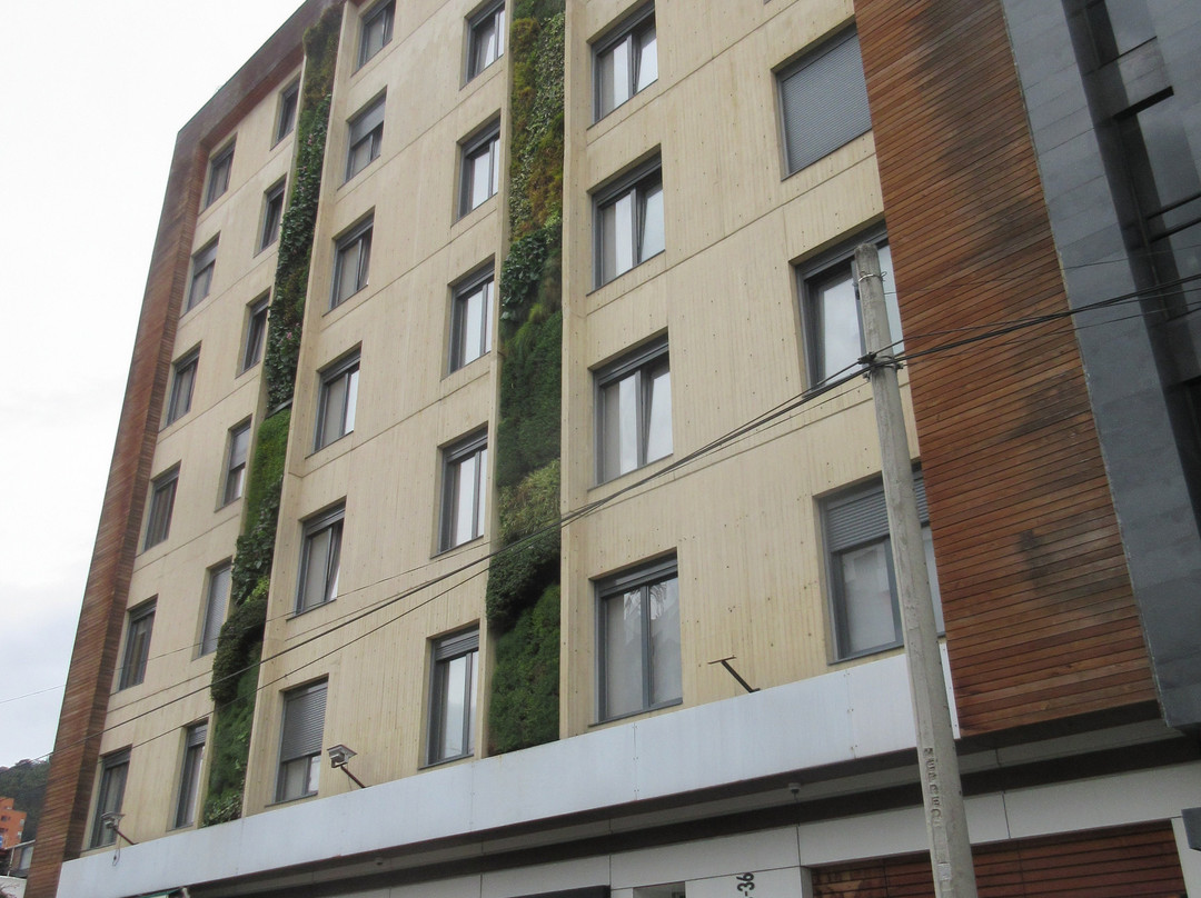 Biohotel Organic Suites主图