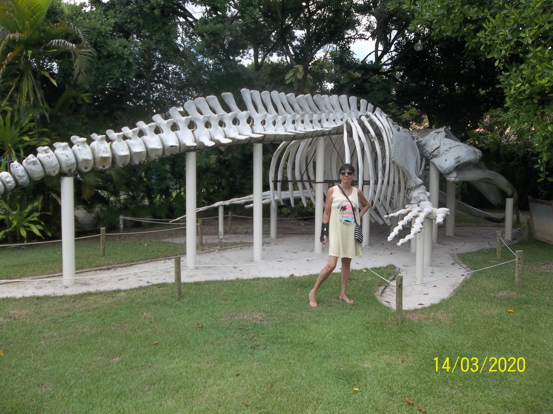 Centro de Visitantes Espaço Baleia Jubarte-普拉亚多海滩必去景点