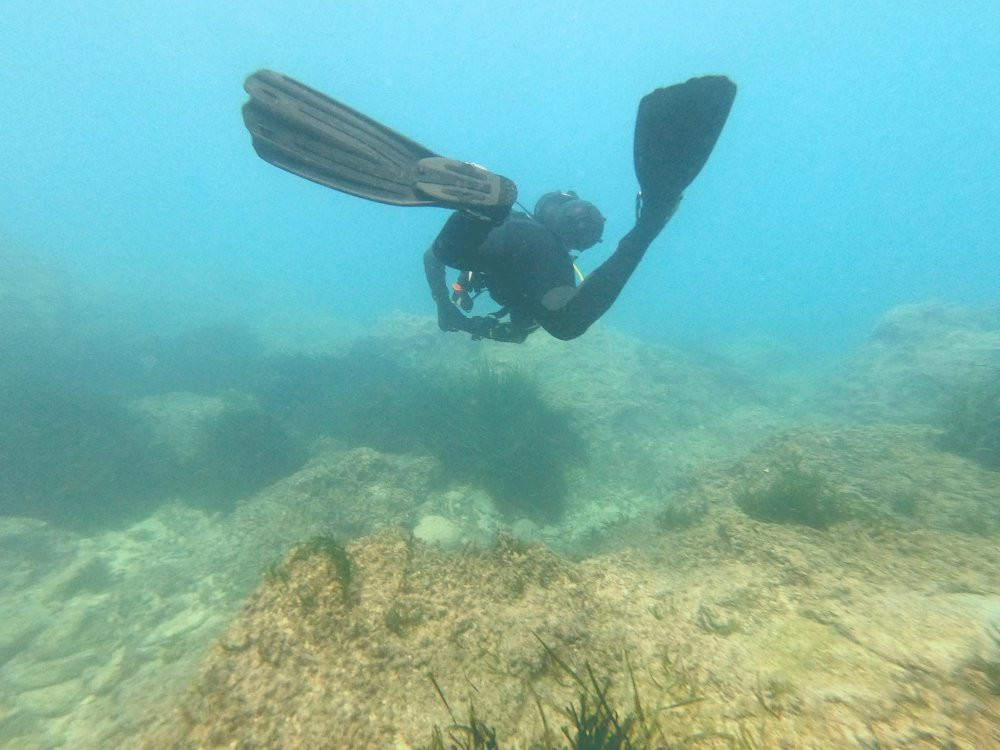 Cyprus Diving Adventures景点图片