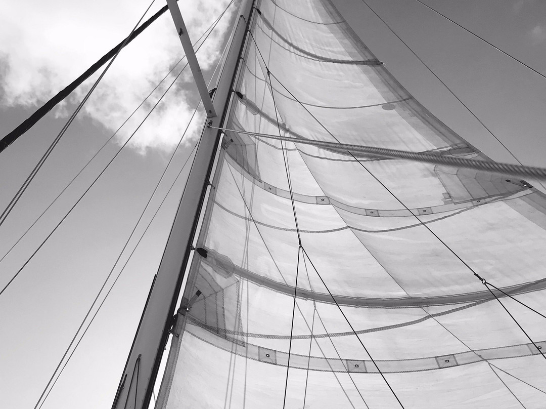 Sailing Catamaran Picante Private Day Tours-克朗波因特必去景点