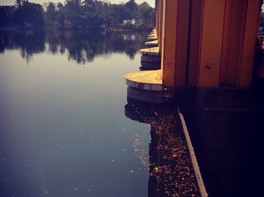 BhoothathanKettu Dam & Reserve Forest景点图片