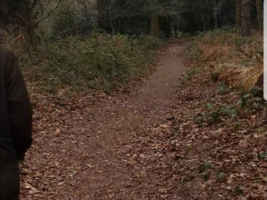 Pyrford Common景点图片