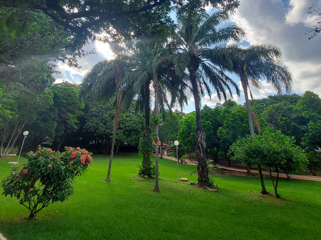 Parque Zeca Malavazzi景点图片
