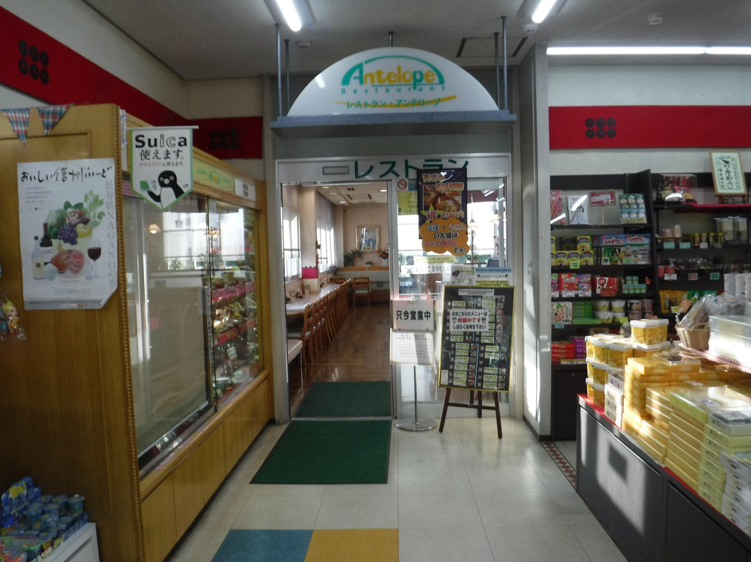 Tobuyunomaru Service Area Outbound-东御市必去景点