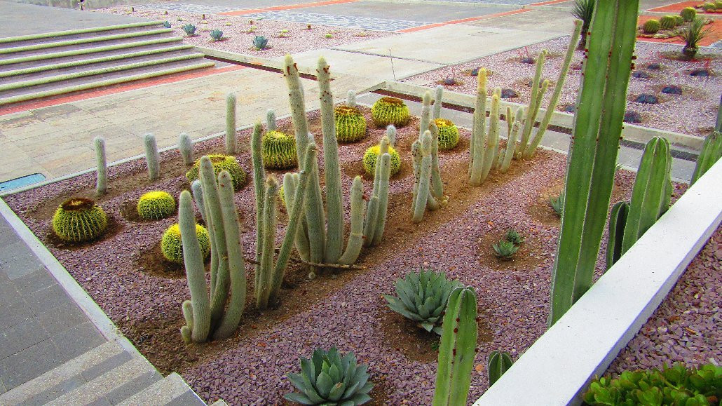 Museo de la Insugencia-Pabellon de Hidalgo必去景点