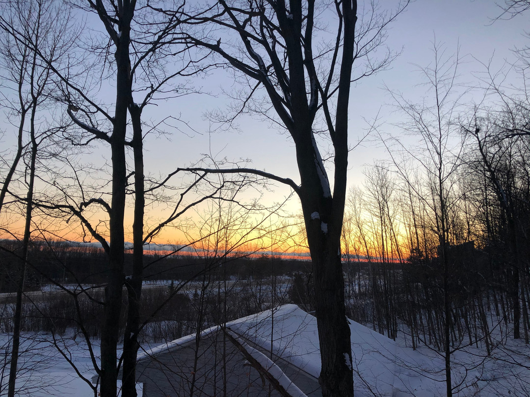 Starlight Bed and Breakfast主图