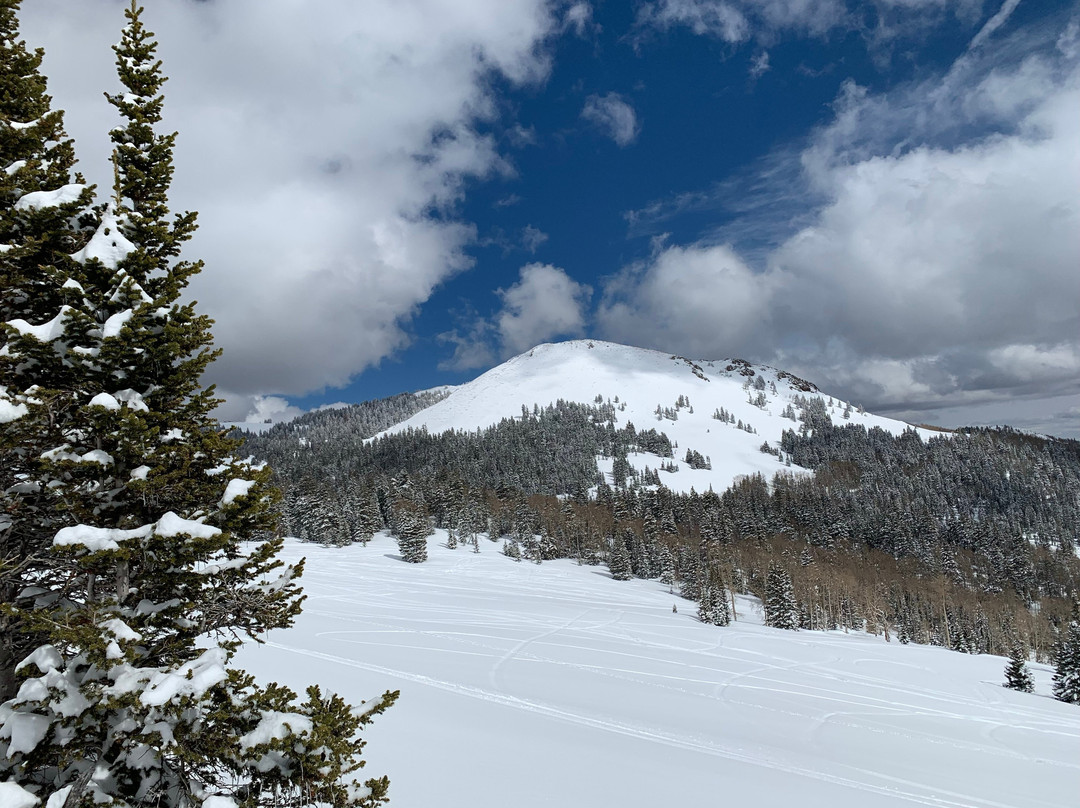 Tucker High Adventure Tours-Beaver必去景点