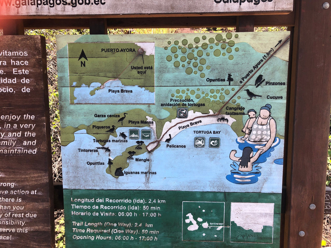 Tunel de Lava Bellavista-Bellavista必去景点