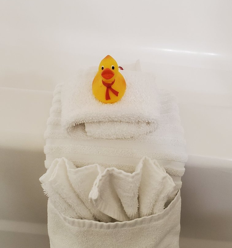 Comfort Suites Inn at Ridgewood Farm主图