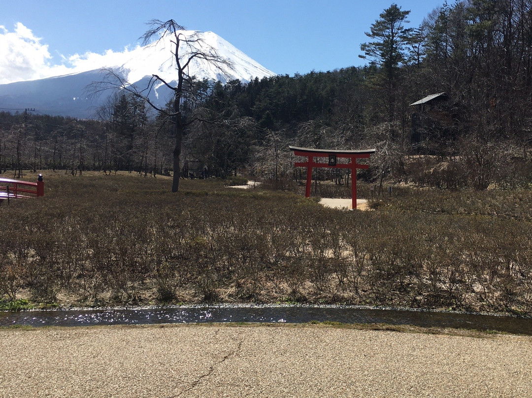 Oshino Shinobi no Sato-忍野村必去景点