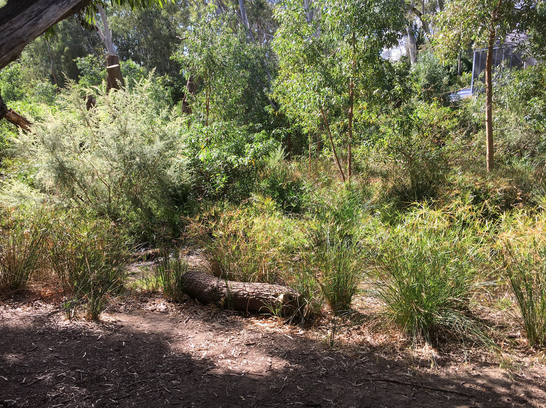 Michael Perry Botanic Reserve-Burnside必去景点