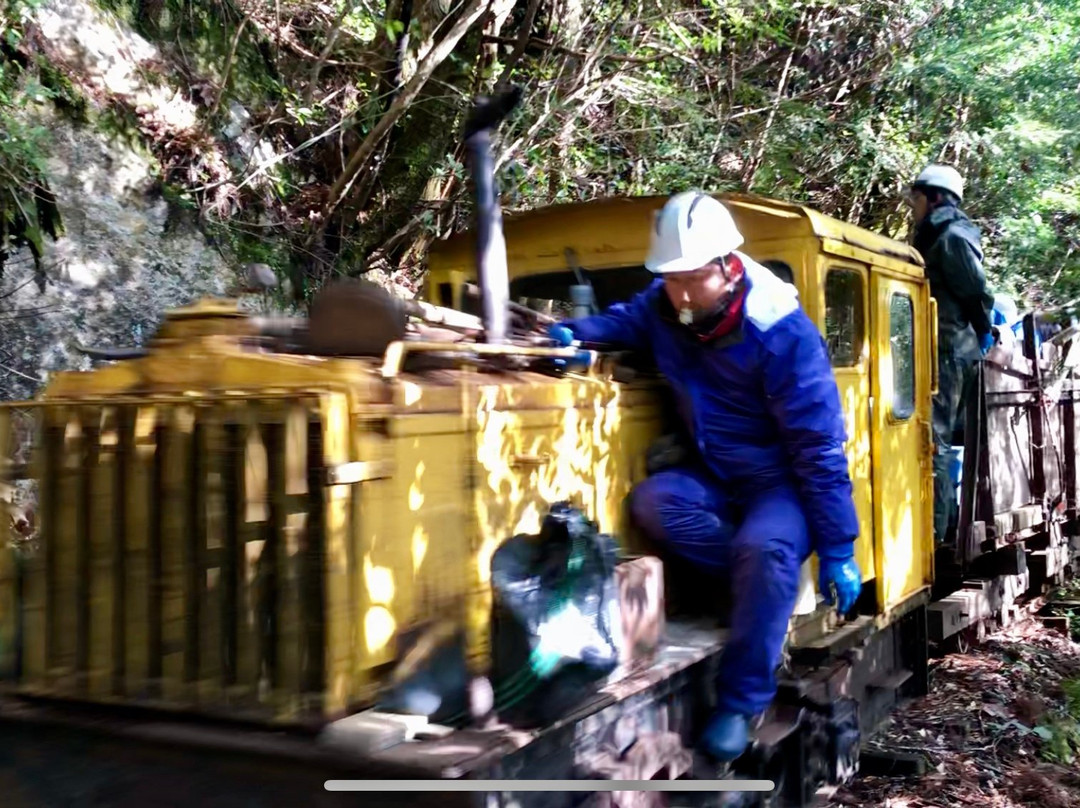 Yakushima Forest Railway景点图片