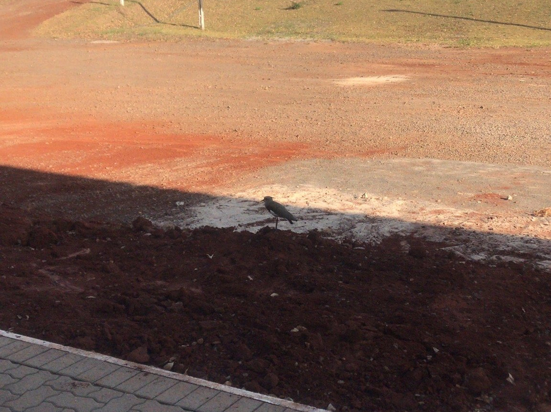 Executivos Hotel Cruz Alta主图