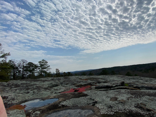Panola Mountain State Park-Stockbridge必去景点