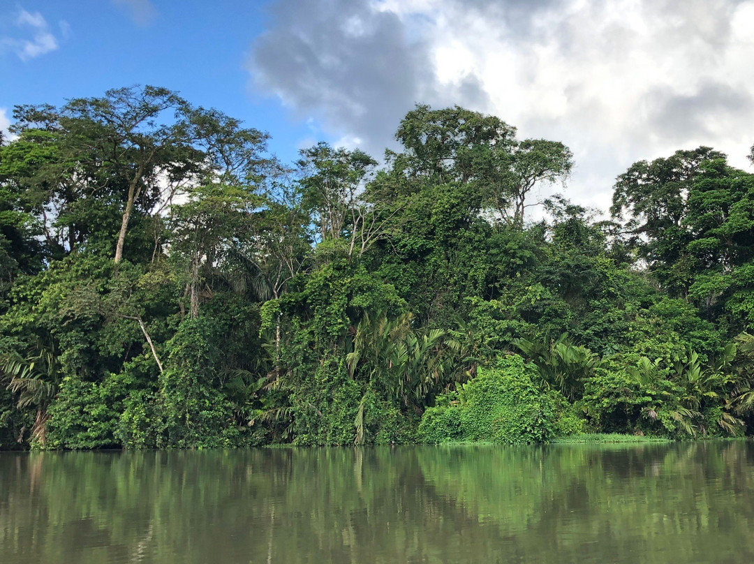 Tortuguero Tours景点图片