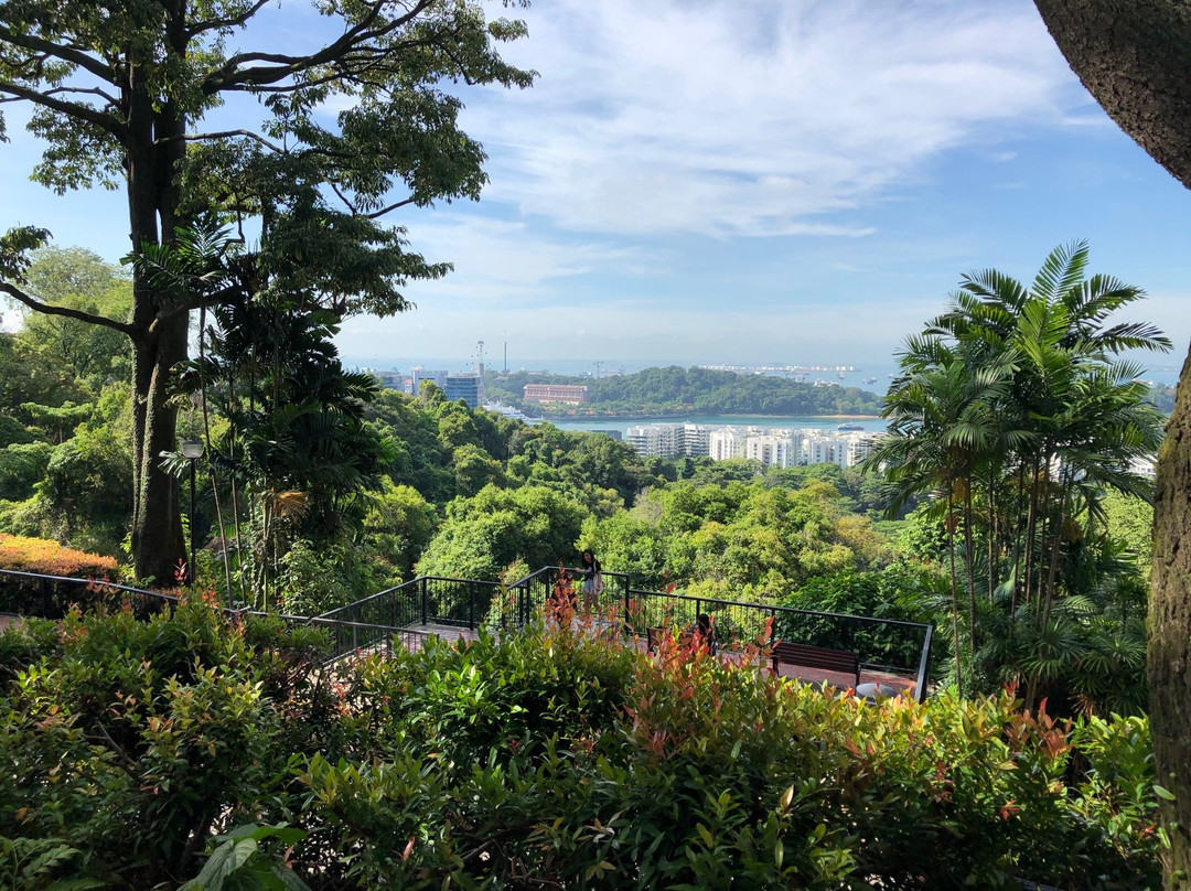 新加坡南部山脊景点图片