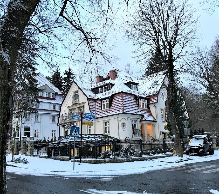 Villa Alina Medical & SPA主图