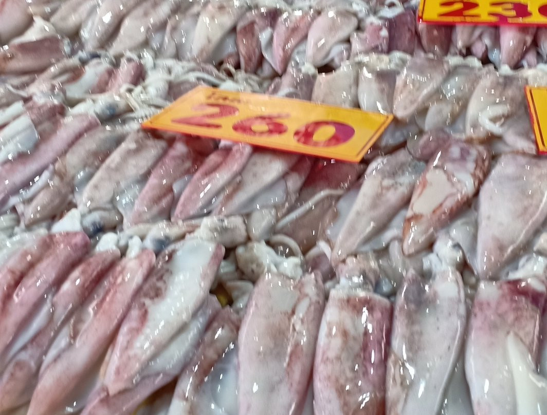 Fish Market Angsila-春武里必去景点