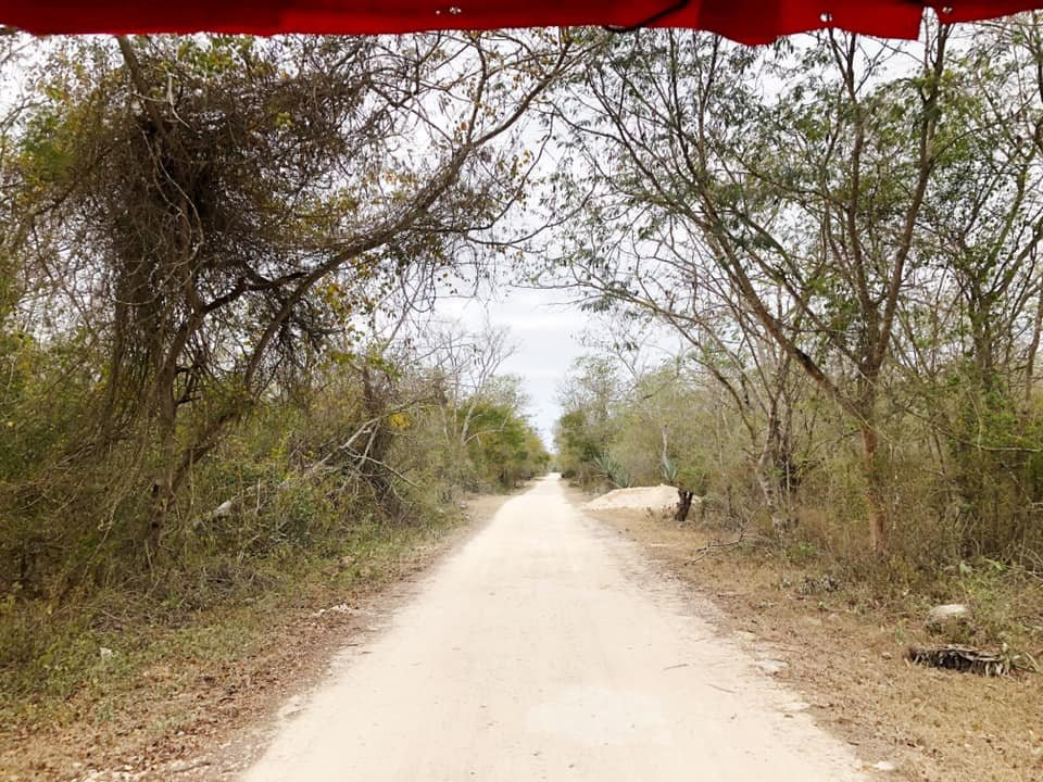 Homun Cenotes景点图片