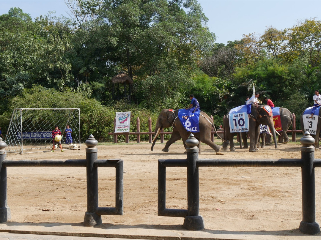 Samphran Elephant Ground & Zoo-佛统必去景点