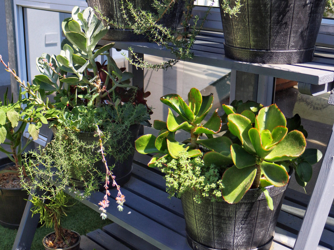 Franschhoek Boutique Hotel主图