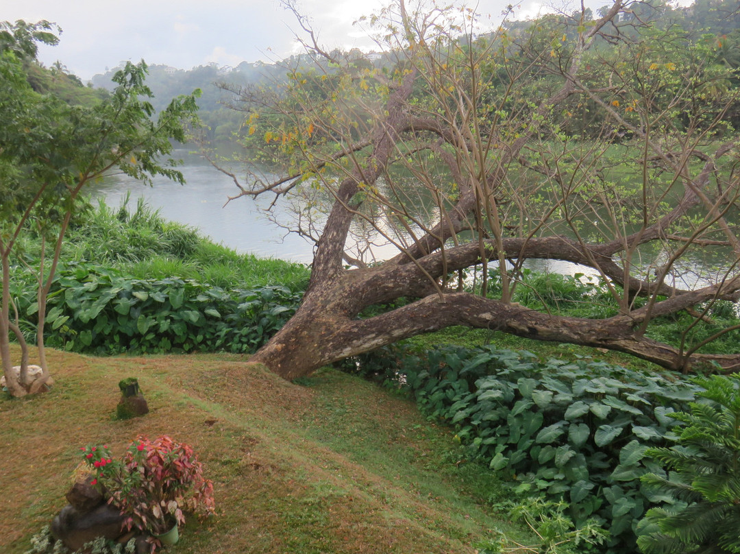 Thotupola Residence主图