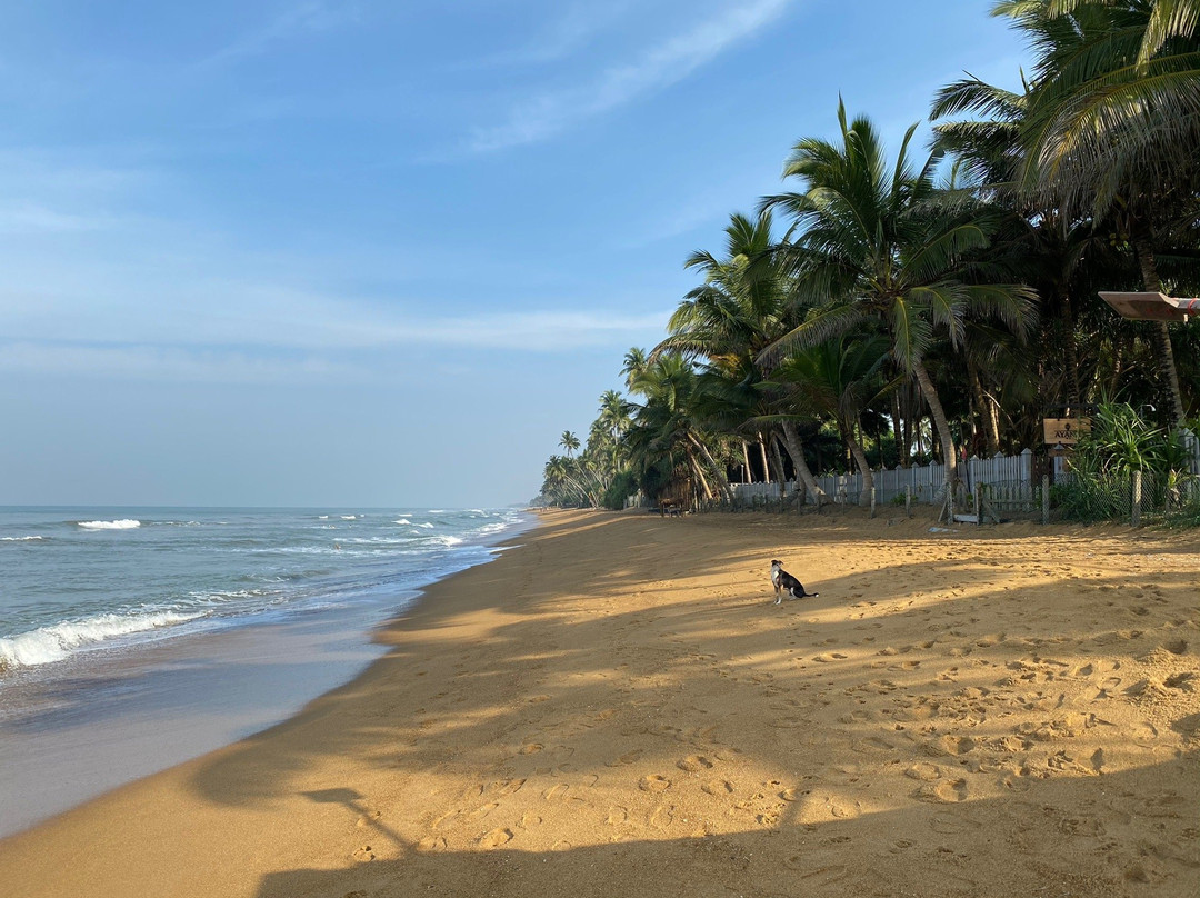 Villa Ocean View Hotel主图