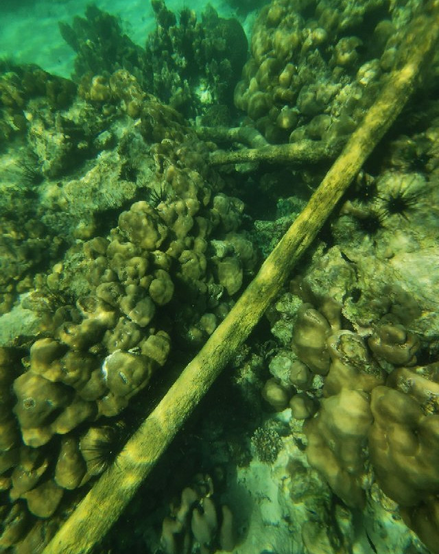 scuba duckling langkawi景点图片