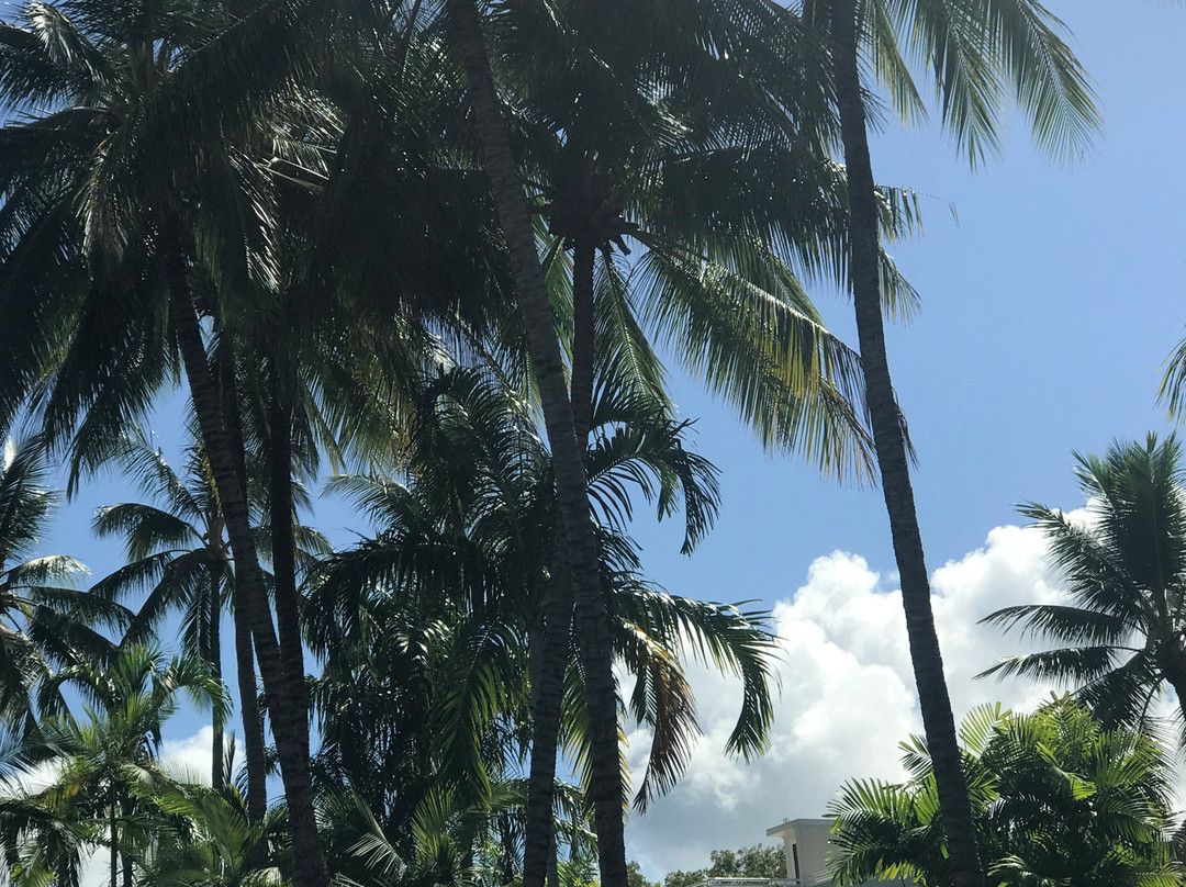Port Douglas Tourist Information Centre-道格拉斯港必去景点