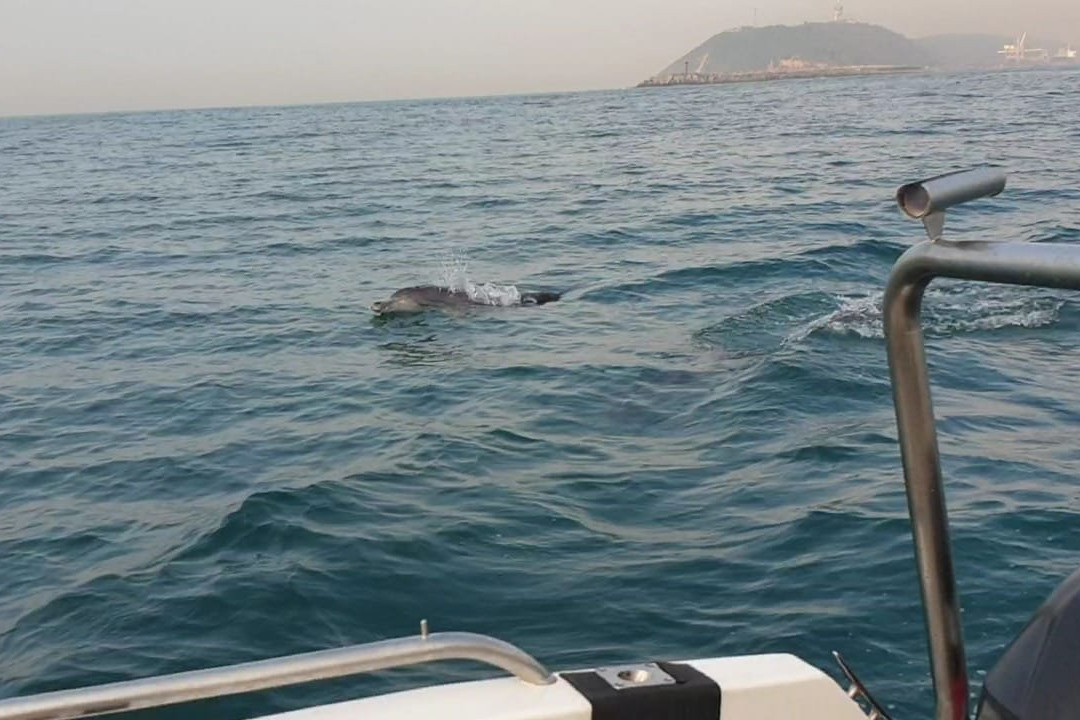 Umhlanga Ocean Charters-德班必去景点