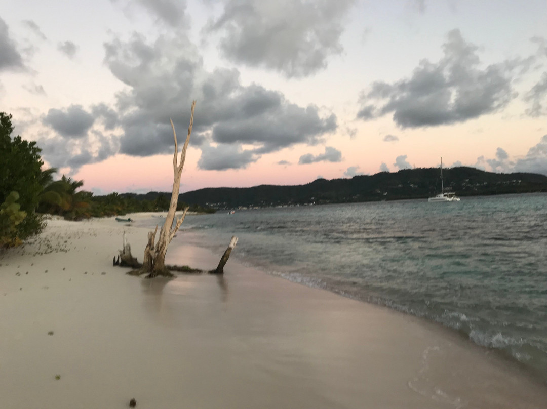 Sandy Island-Carriacou Island必去景点