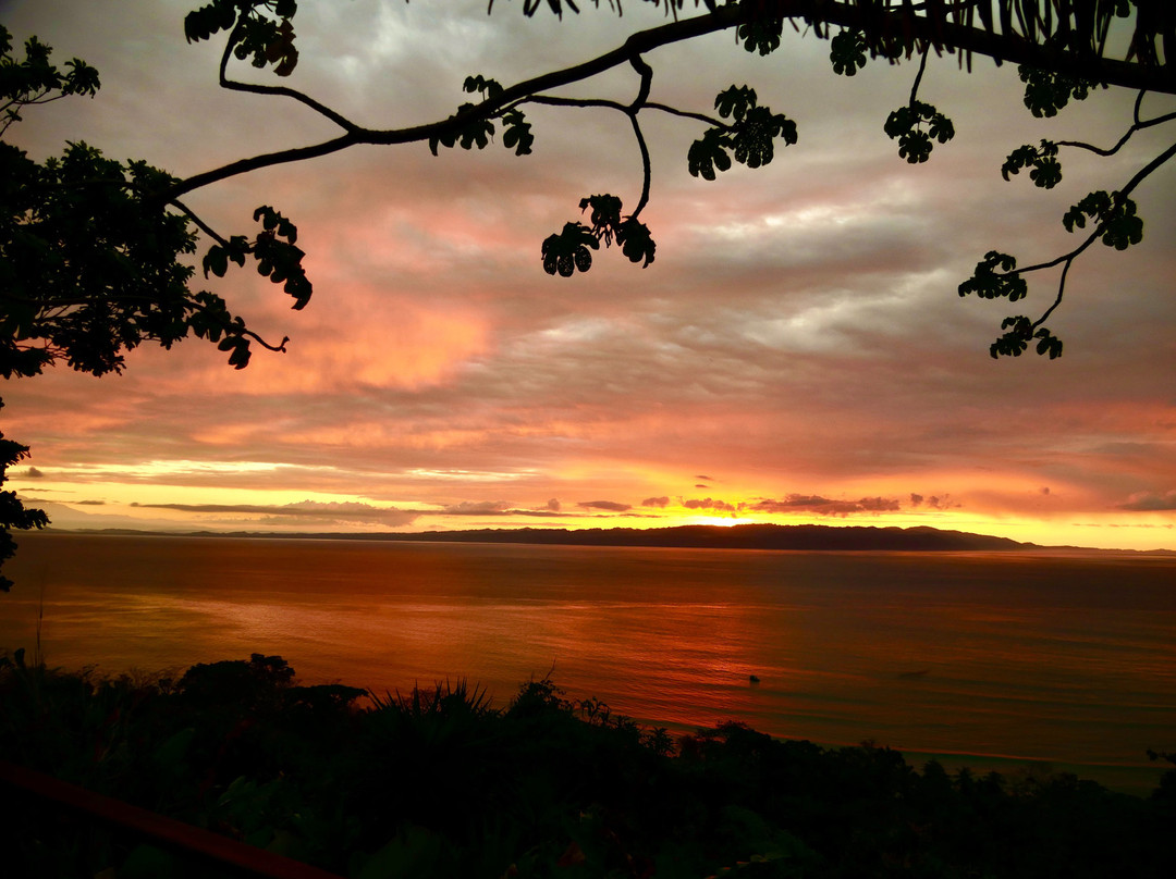 Lapa Rios Lodge主图