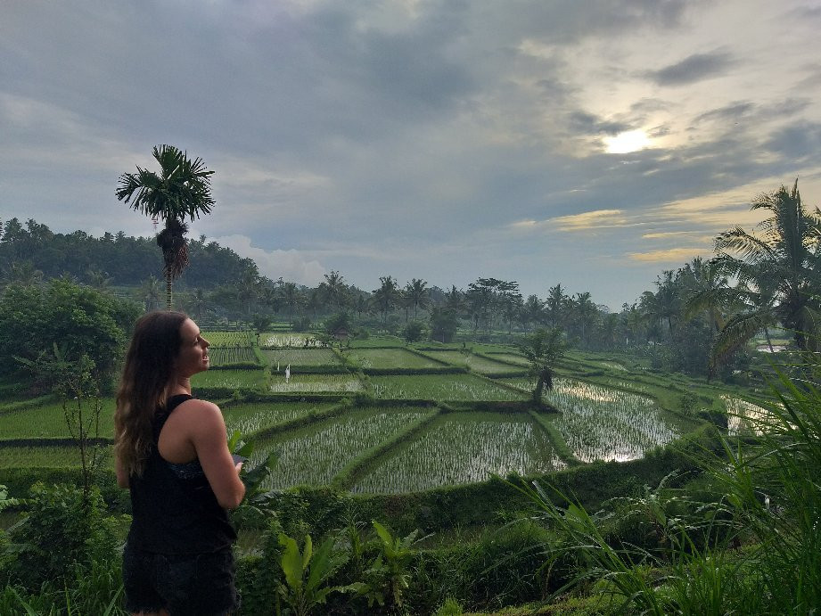 Go Bali Natural Tour-登巴萨必去景点