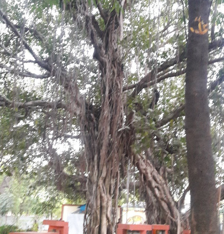 EME Temple景点图片