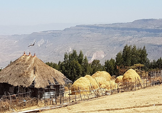 Memento Ethiopia Tours-亚的斯亚贝巴必去景点