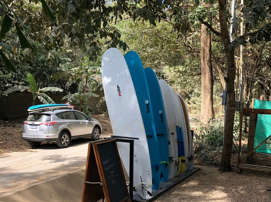 Jackalopes Surf Shop景点图片